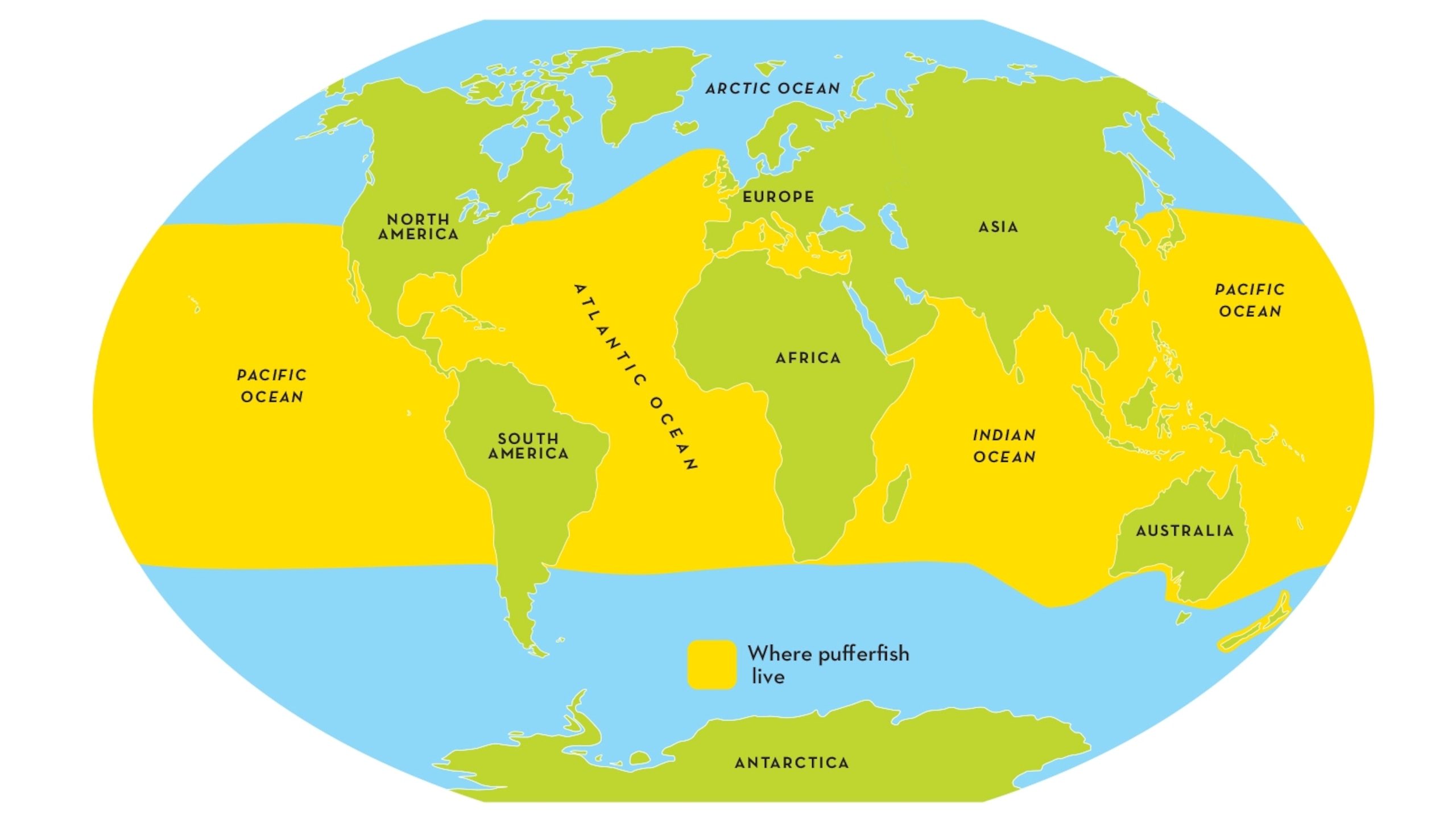 World map with zoning for Puffer fish population, showing that puffer fish are common in all world oceans