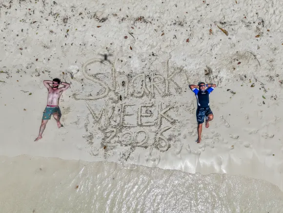 Aerial photo on the beach in Palau