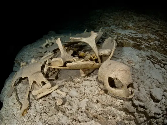 underwater photo of a sea turtle skeleton in Temple of Doom, Palau