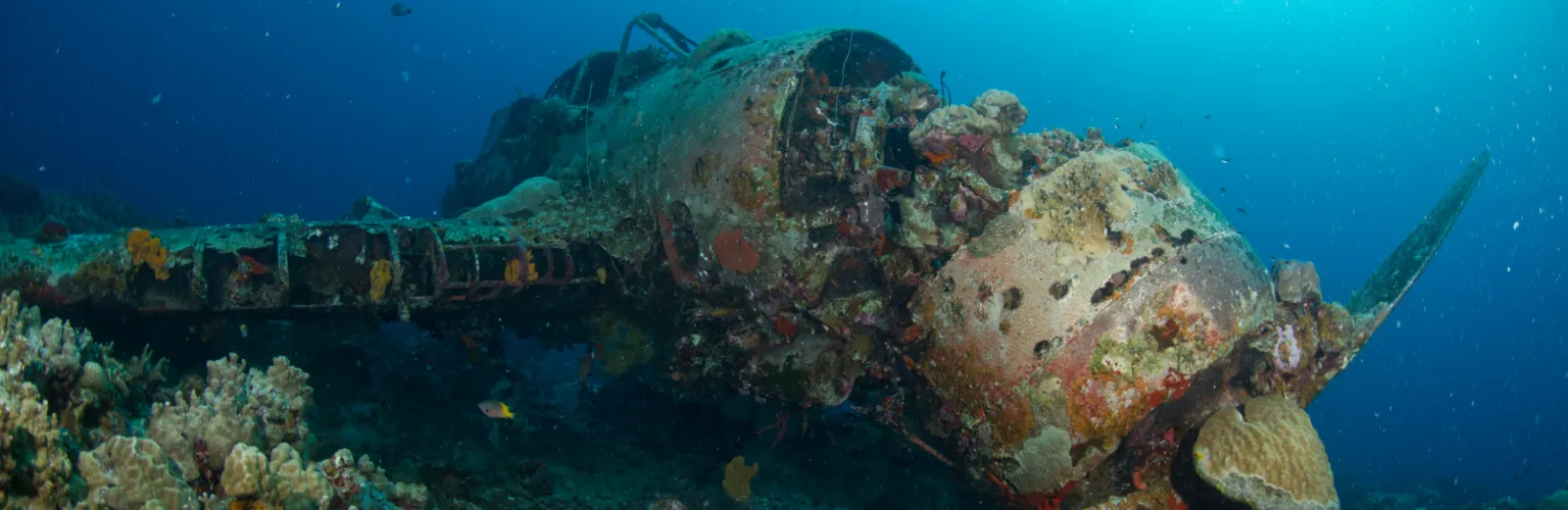 underwater photo of the Jake Seaplane in Palau