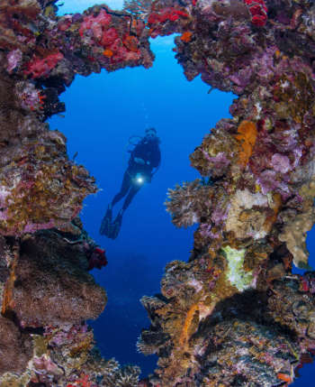 5 Best Wreck Dives in Palau