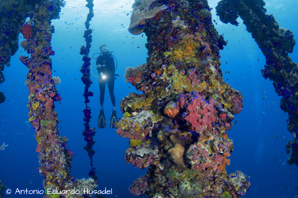 mast covered in hard and soft coral with diver in the background in Palau