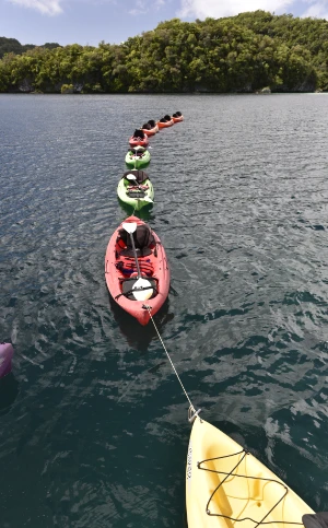 photo of a Fish 'n Fins kayak tour, kayaks lines up, in the background Palau's famous Rock Islands