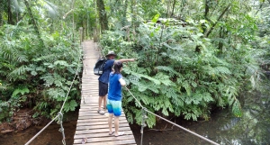 photo of a guide and a customer in a green lush rain forest in Palau