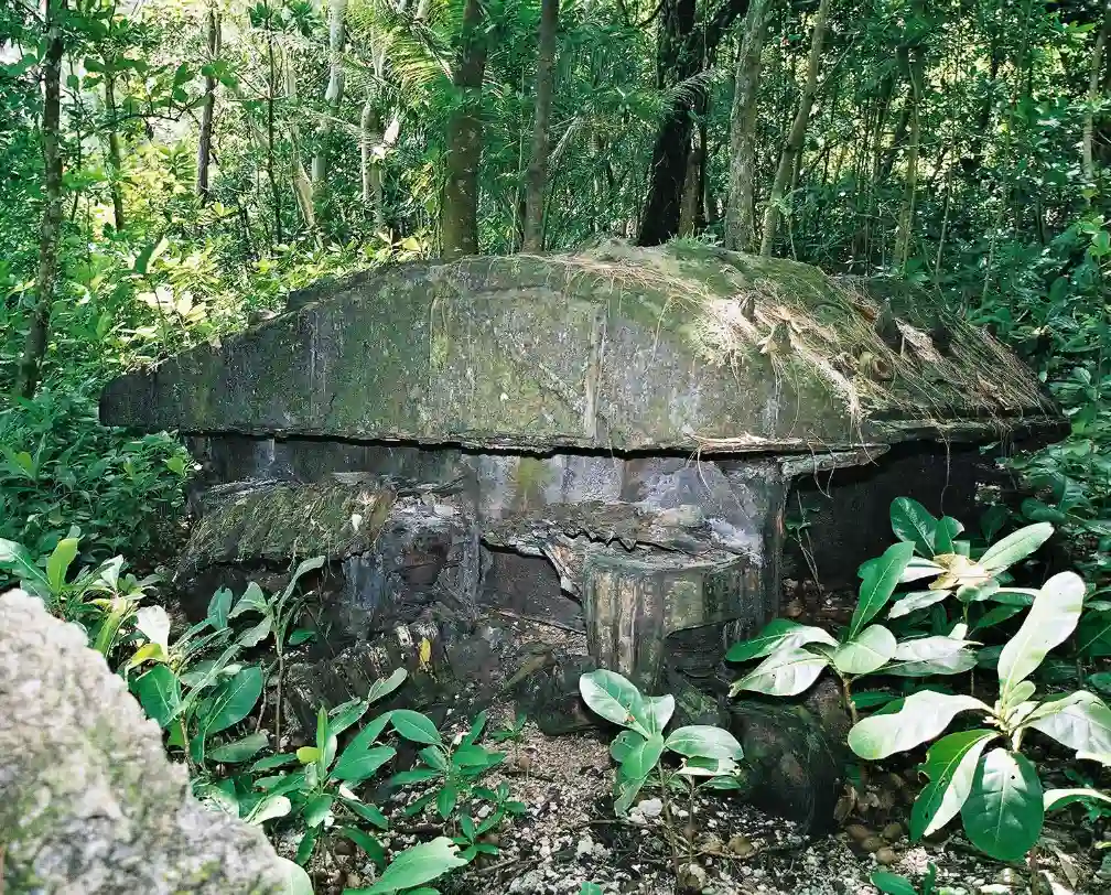 WW2 relict in the jungle in Peleliu Palau