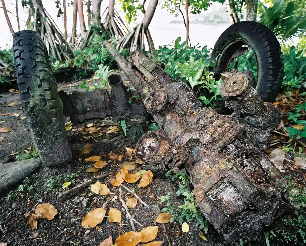 Relict of a WW2 canon in the jungle in Peleliu Palau