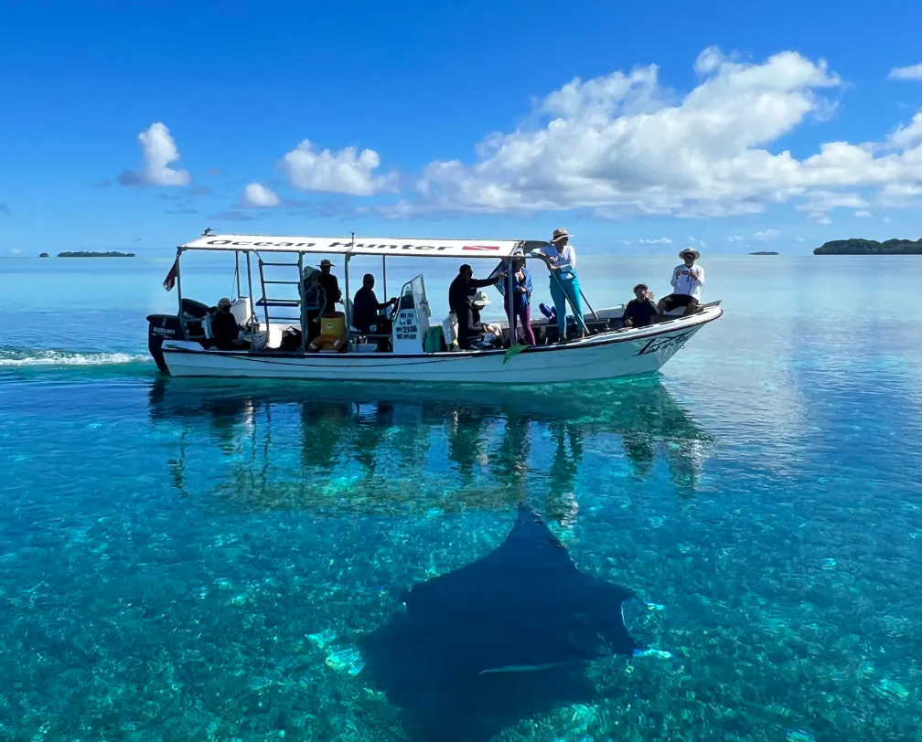Fish 'n Fins boat with divers inside, crystal clear waters, blue skies and next to the boat a manta ray in very shallow water
