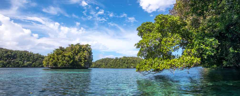 Rock Islands in Nikko Bay Palau