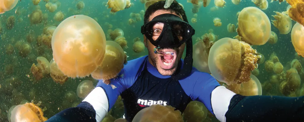 Snorkeler under water diving through clouds of Jellyfish