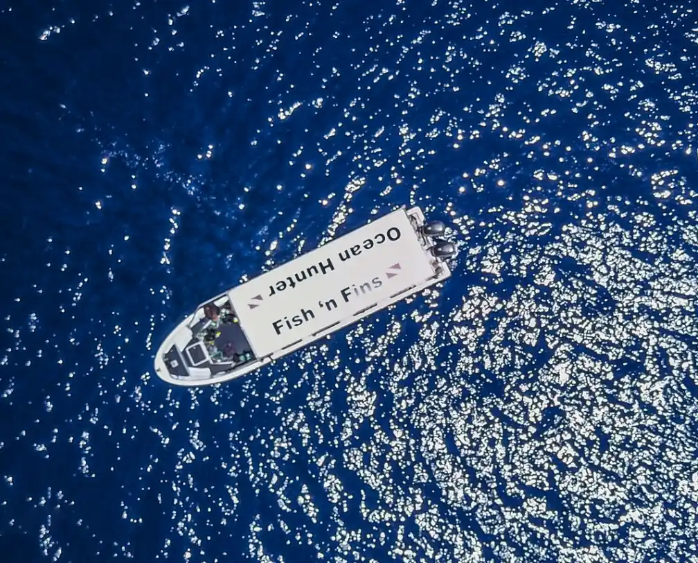 Fish 'n Fins dive boat on open ocean seen from the top, shot by a drone.