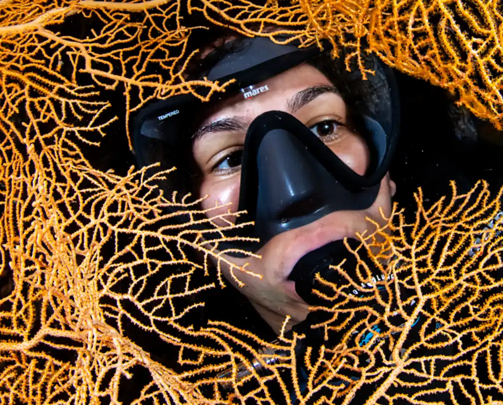 close-up of a scuba diver under water looking through a hole in a Yellow Sea fan