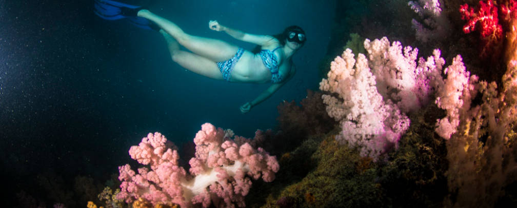 female snorkeler with soft corals in foreground in Palau