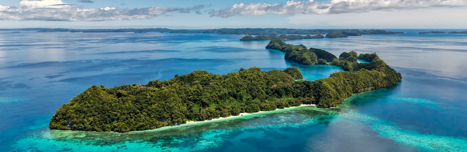 Thousands of Jellyfish at Jellyfish Lake Palau