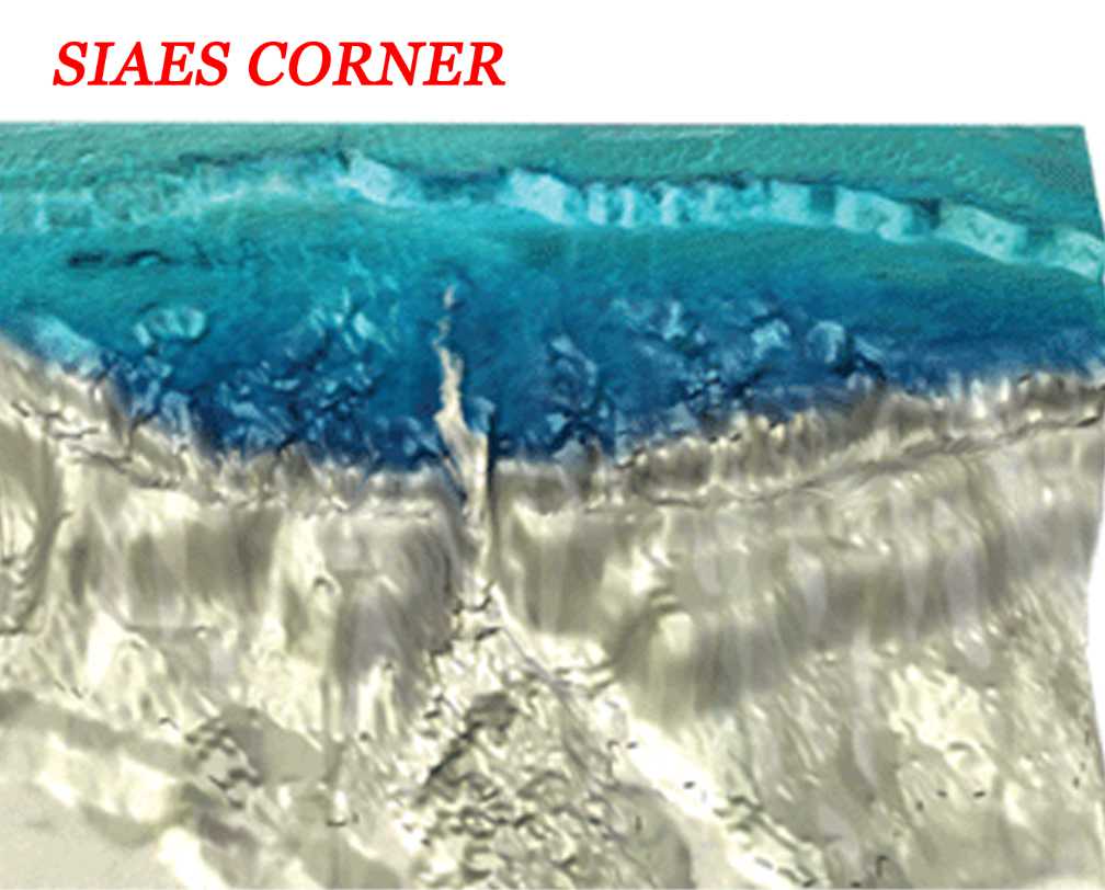 3D Infographic of Siaes Corner a dive site in Palau