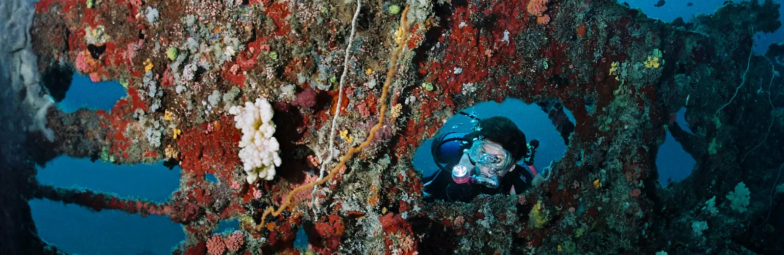underwater photo of a diver looking through a gap in the board wall of a wreck in Palau
