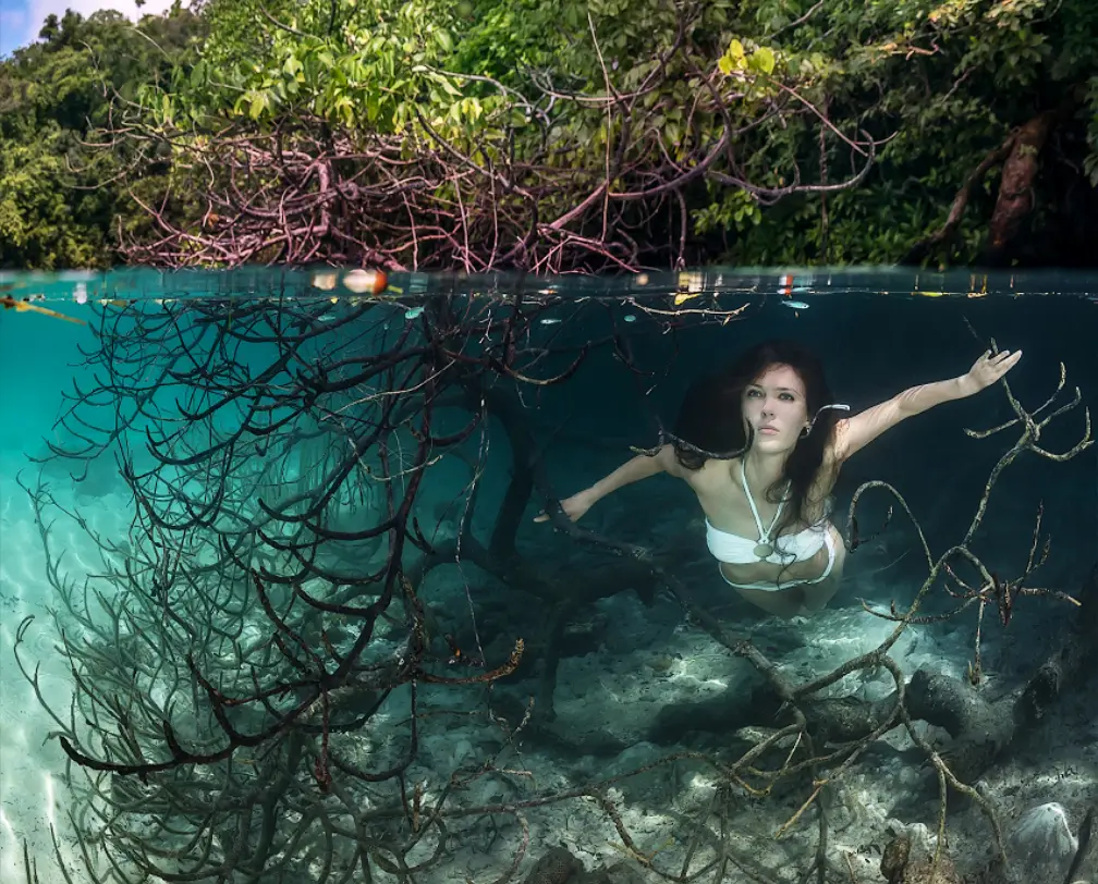 underwater photo of a woman free diving in a white bikini between the roots of a mangrove